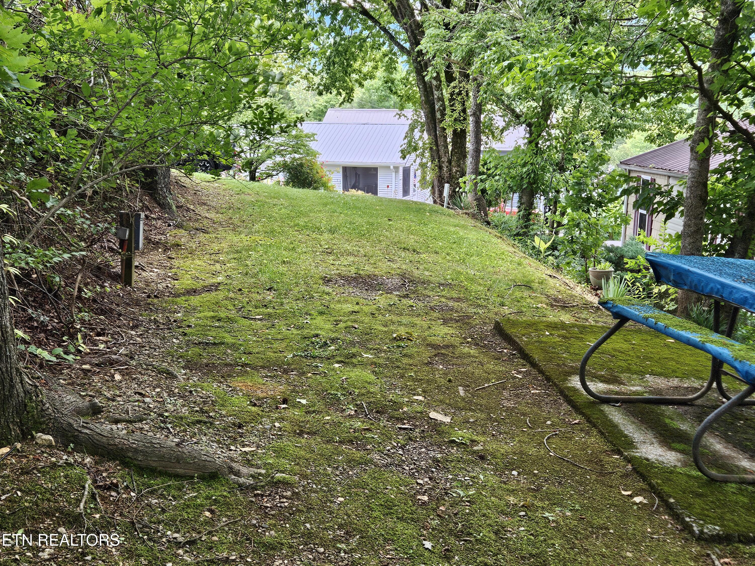 417 Mountain Thrush Drive Townsend TN 37882