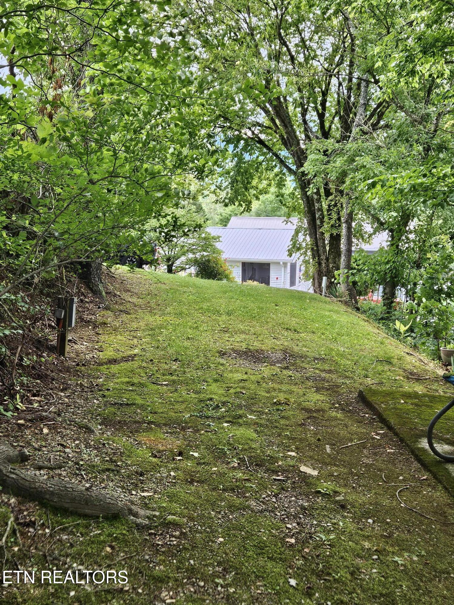 417 Mountain Thrush Drive Townsend TN 37882