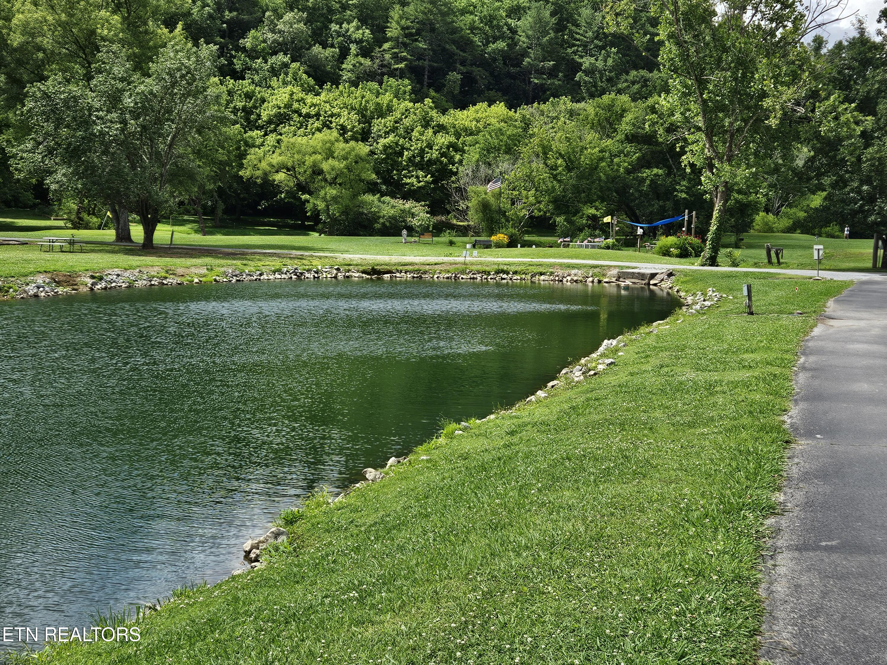 417 Mountain Thrush Drive Townsend TN 37882