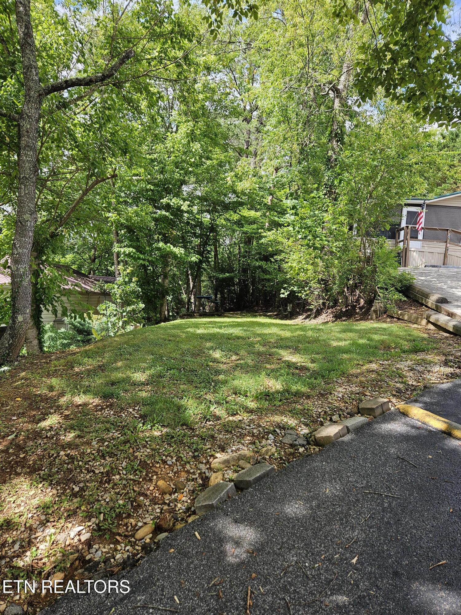 417 Mountain Thrush Drive Townsend TN 37882