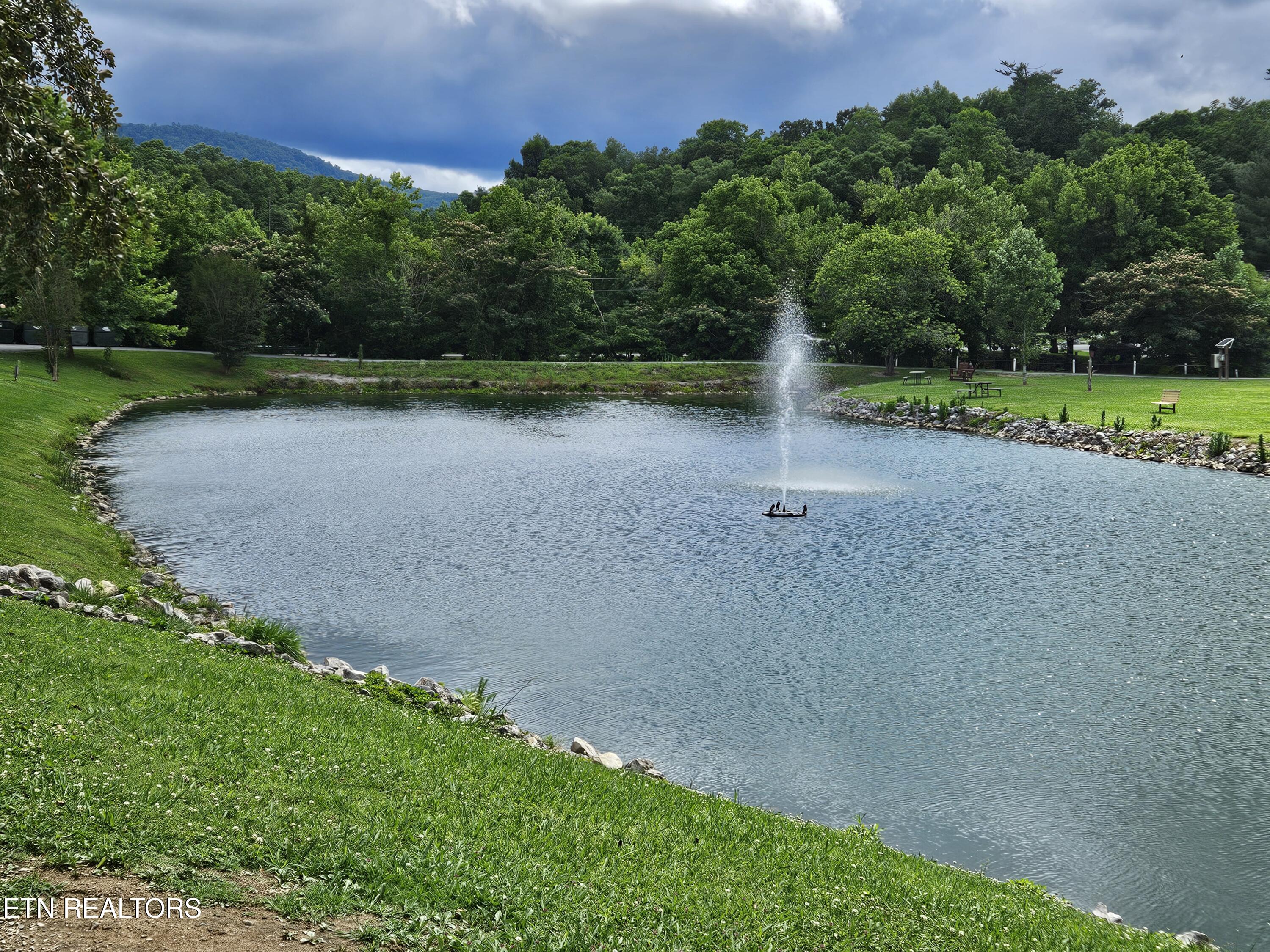 417 Mountain Thrush Drive Townsend TN 37882