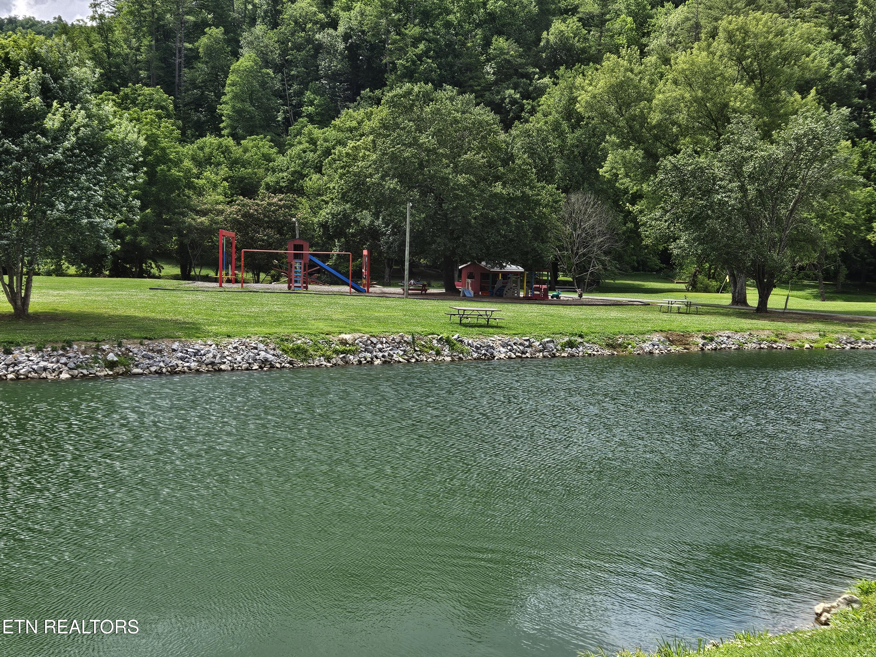 417 Mountain Thrush Drive Townsend TN 37882