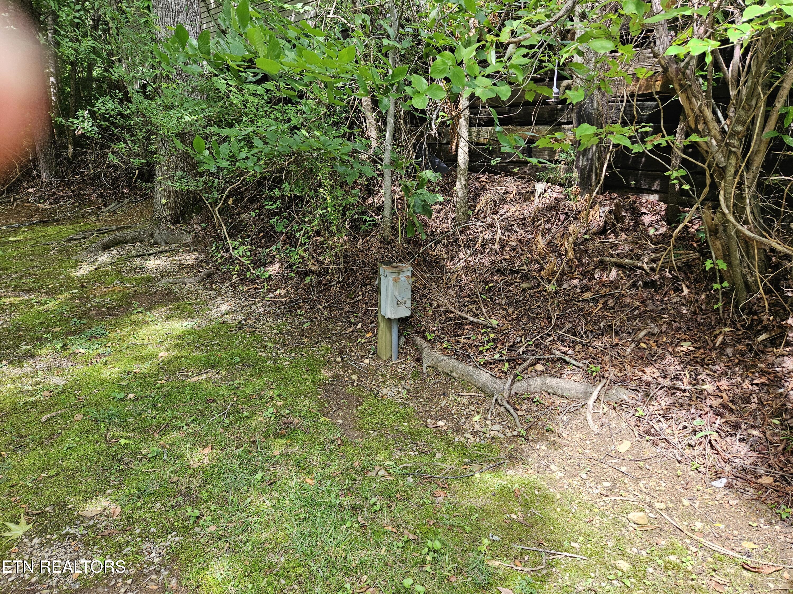 417 Mountain Thrush Drive Townsend TN 37882