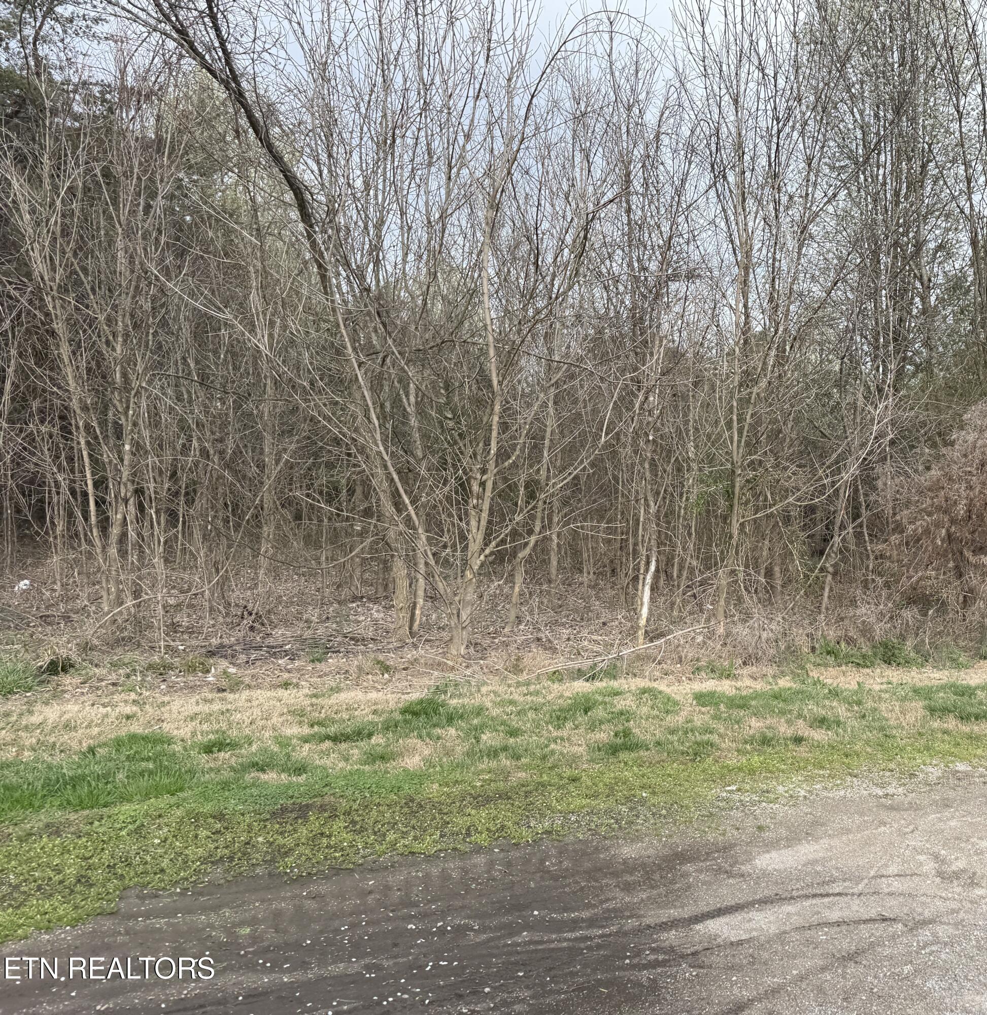 106 Raintree Lane Kingston TN 37763