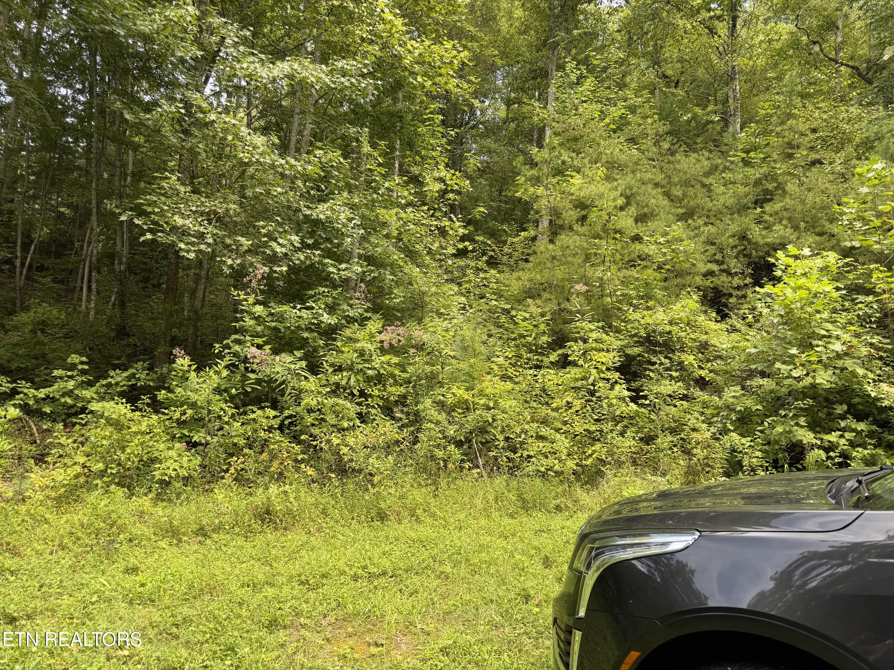 Coy Rhea Way Sevierville TN 37876