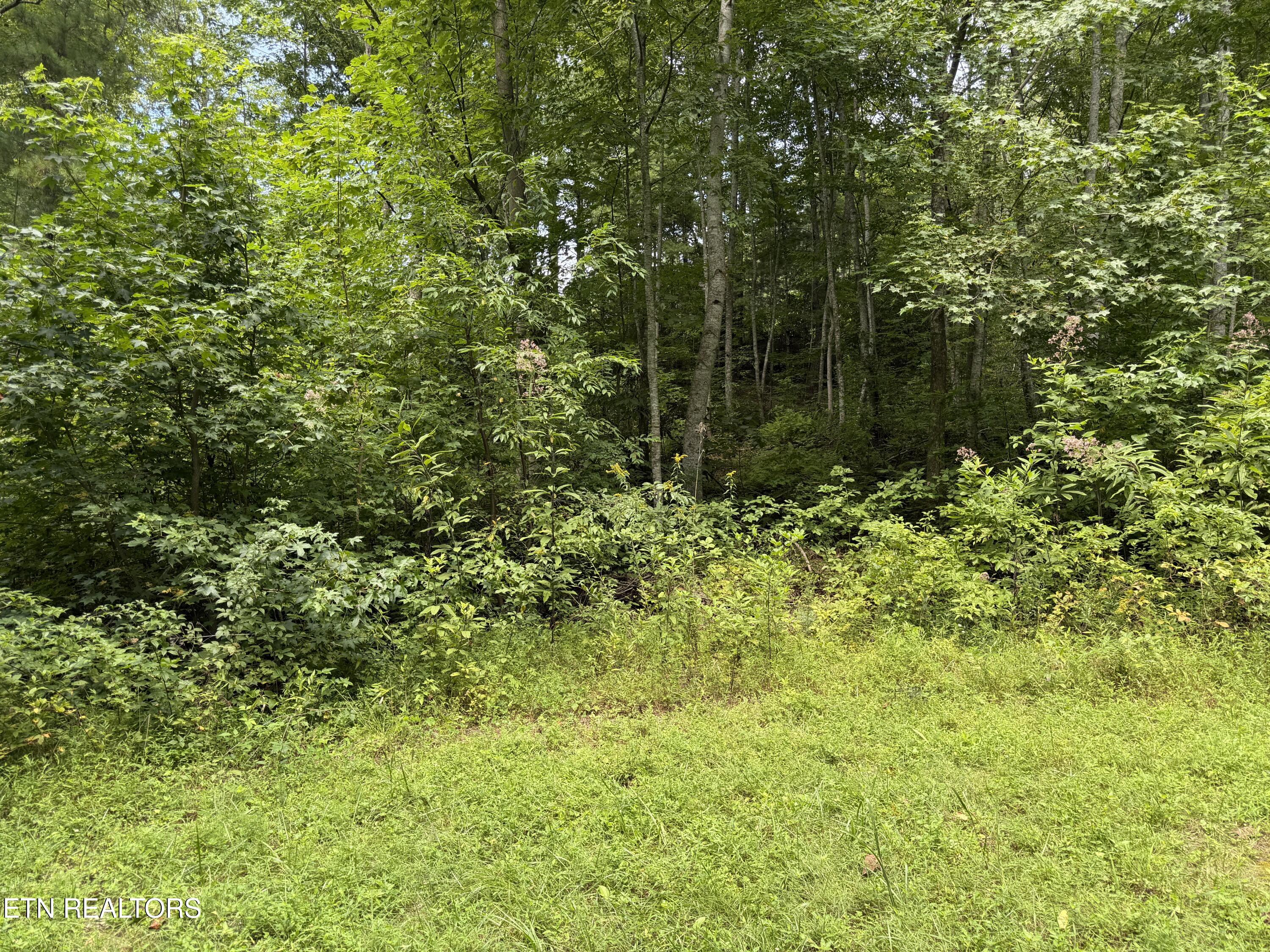 Coy Rhea Way Sevierville TN 37876