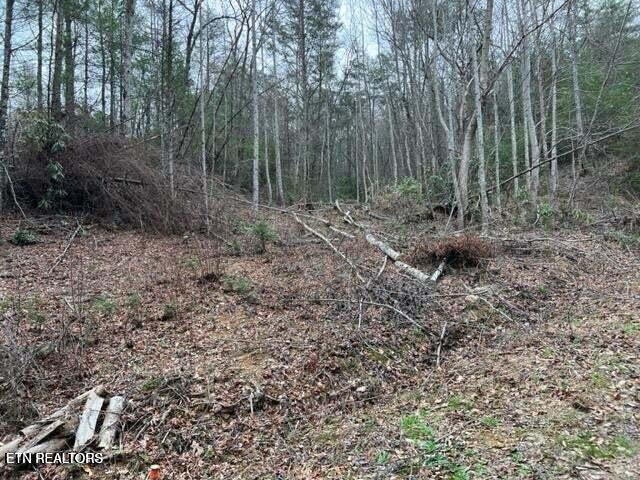 Coy Rhea Way Sevierville TN 37876