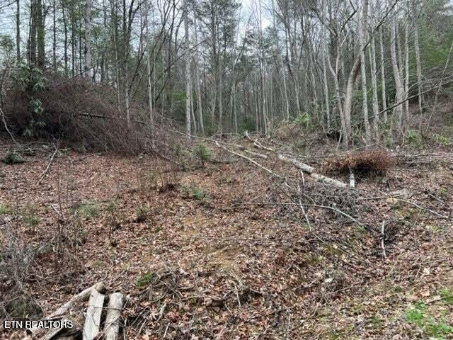 Coy Rhea Way Sevierville TN 37876
