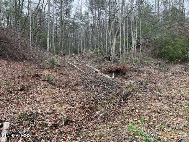 Coy Rhea Way Sevierville TN 37876