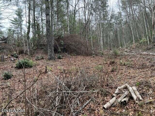 Coy Rhea Way Sevierville TN 37876