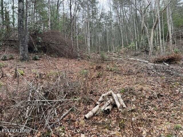 Coy Rhea Way Sevierville TN 37876