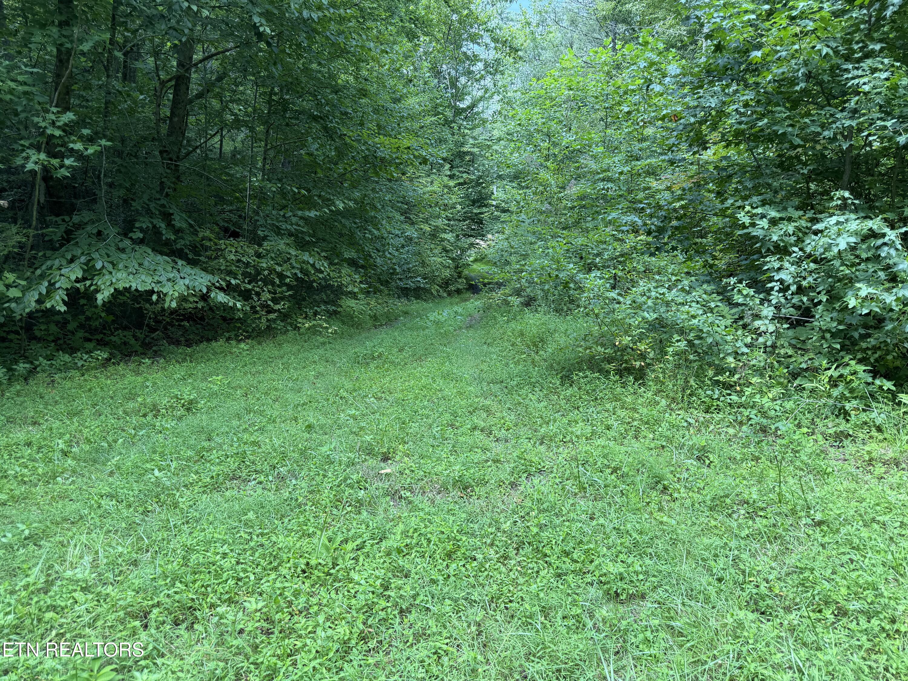 Coy Rhea Way Sevierville TN 37876