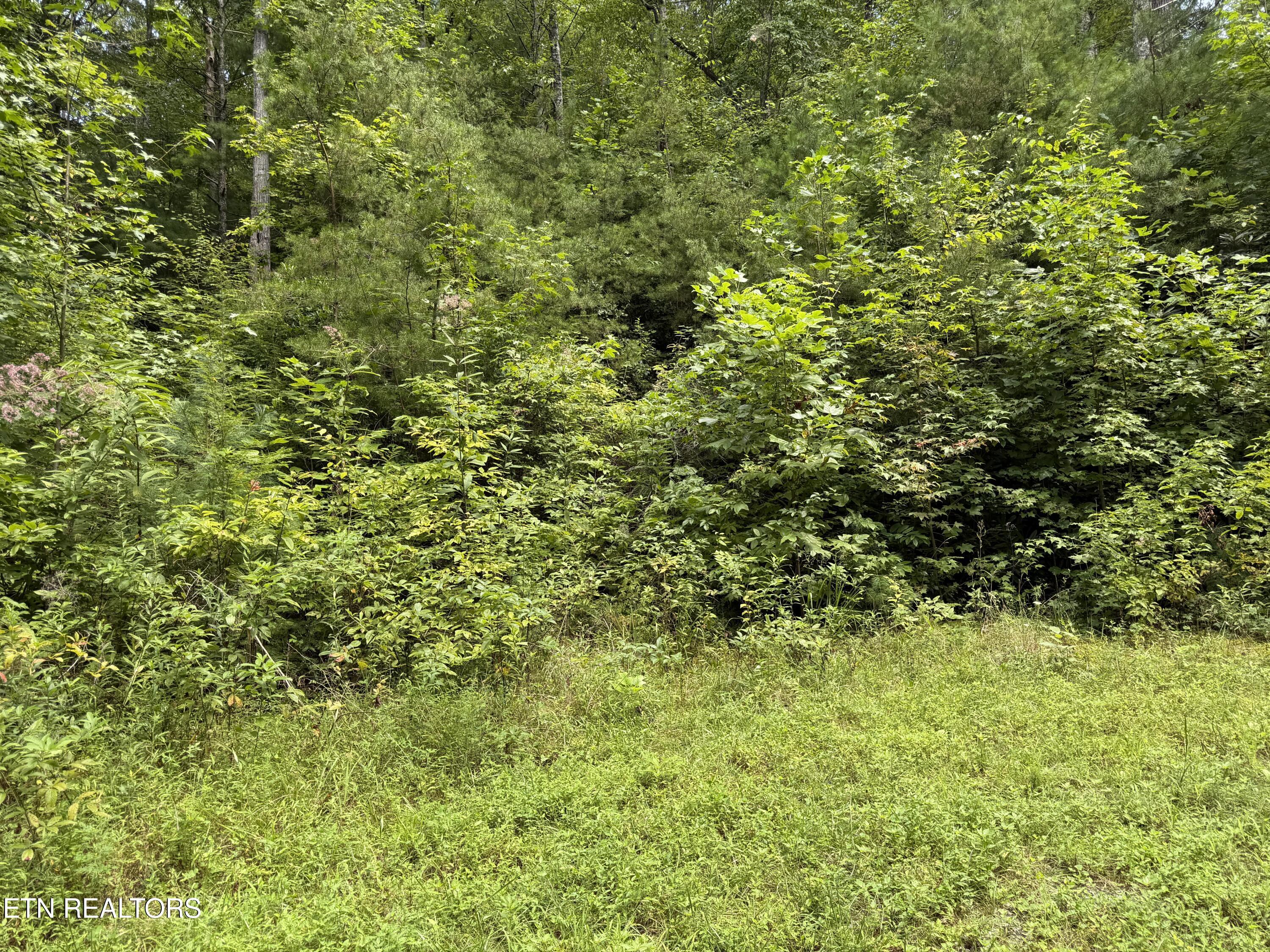 Coy Rhea Way Sevierville TN 37876