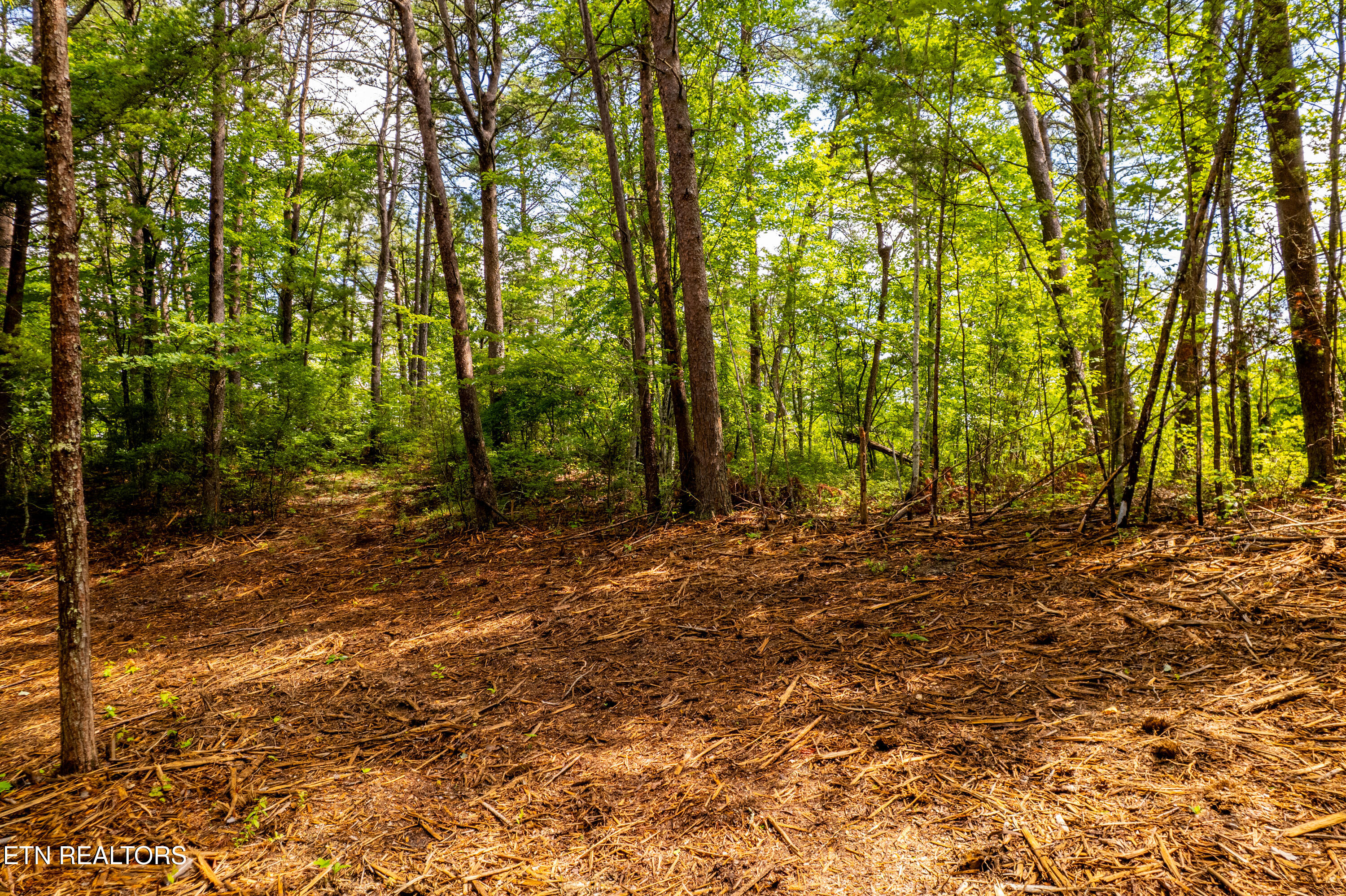 154 Poplar Road Tellico Plains TN 37385
