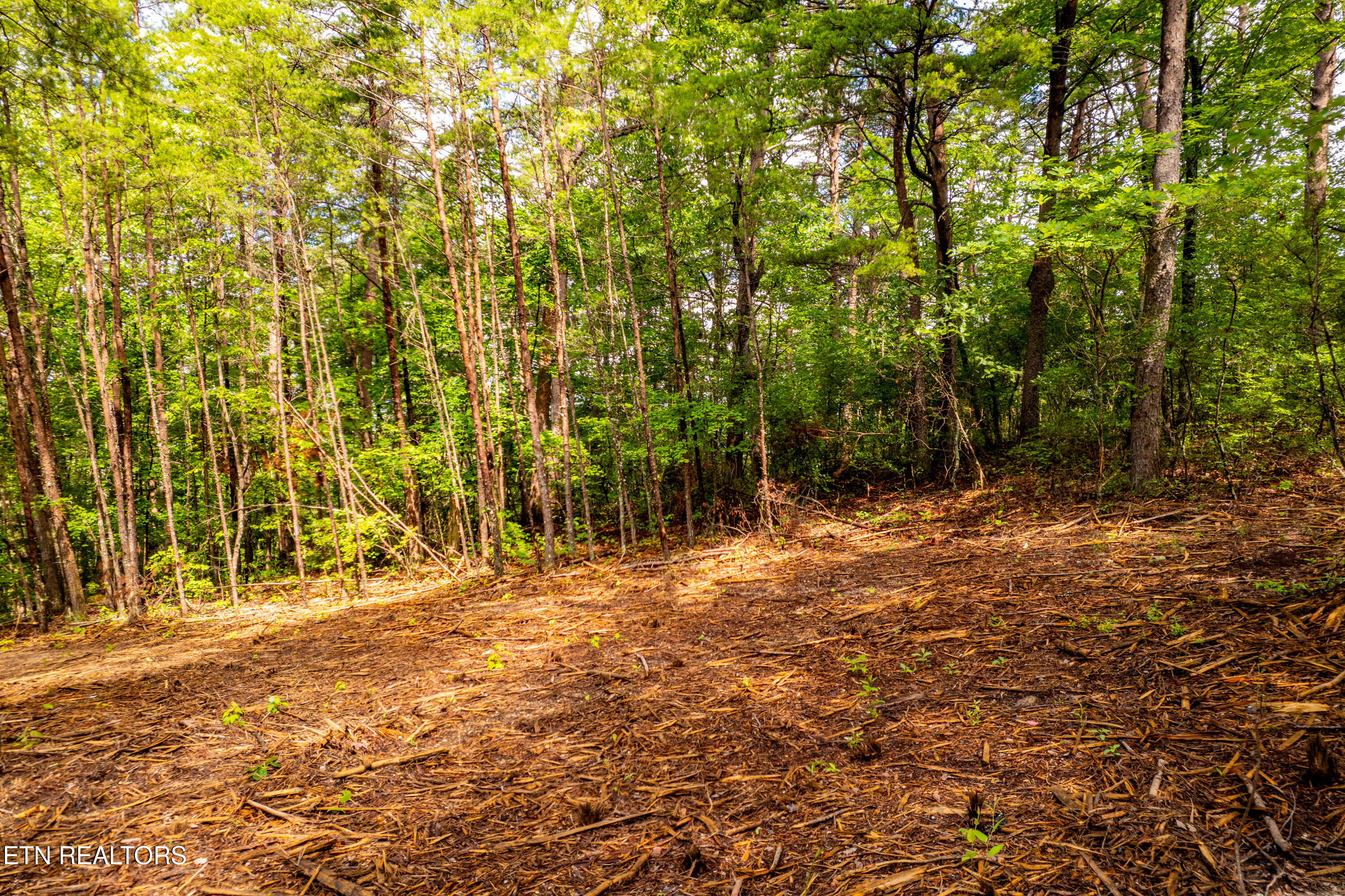 154 Poplar Road Tellico Plains TN 37385