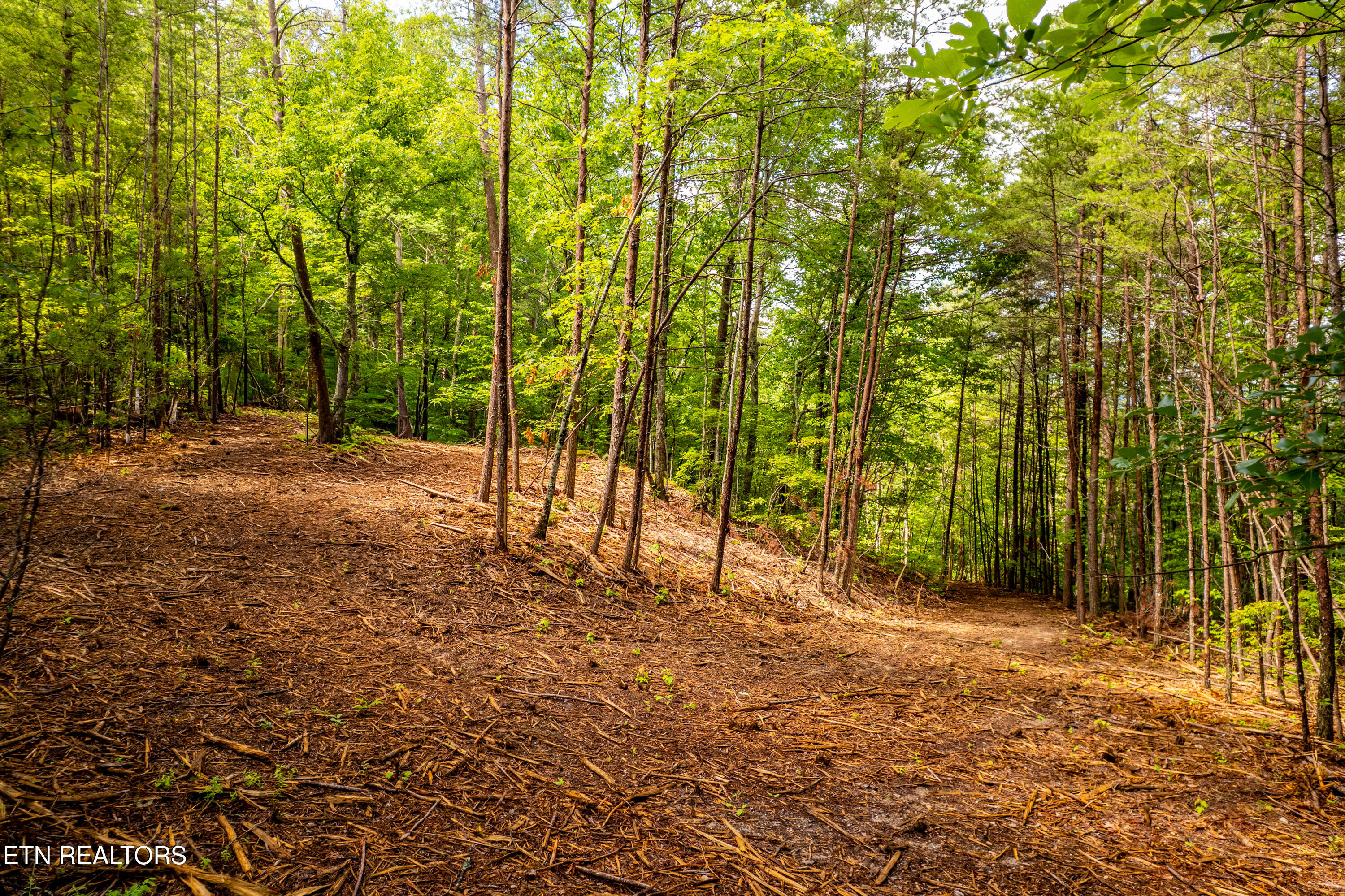 154 Poplar Road Tellico Plains TN 37385