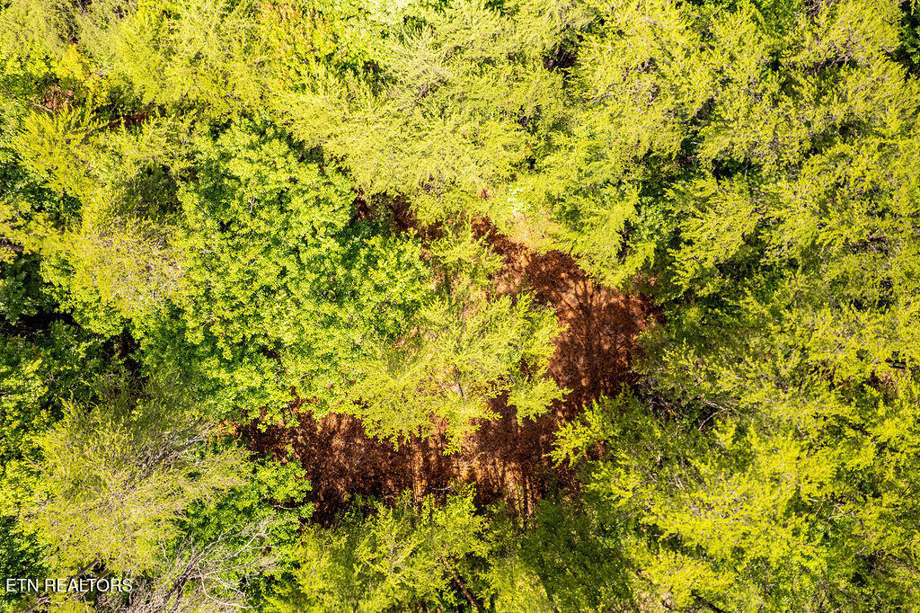 154 Poplar Road Tellico Plains TN 37385