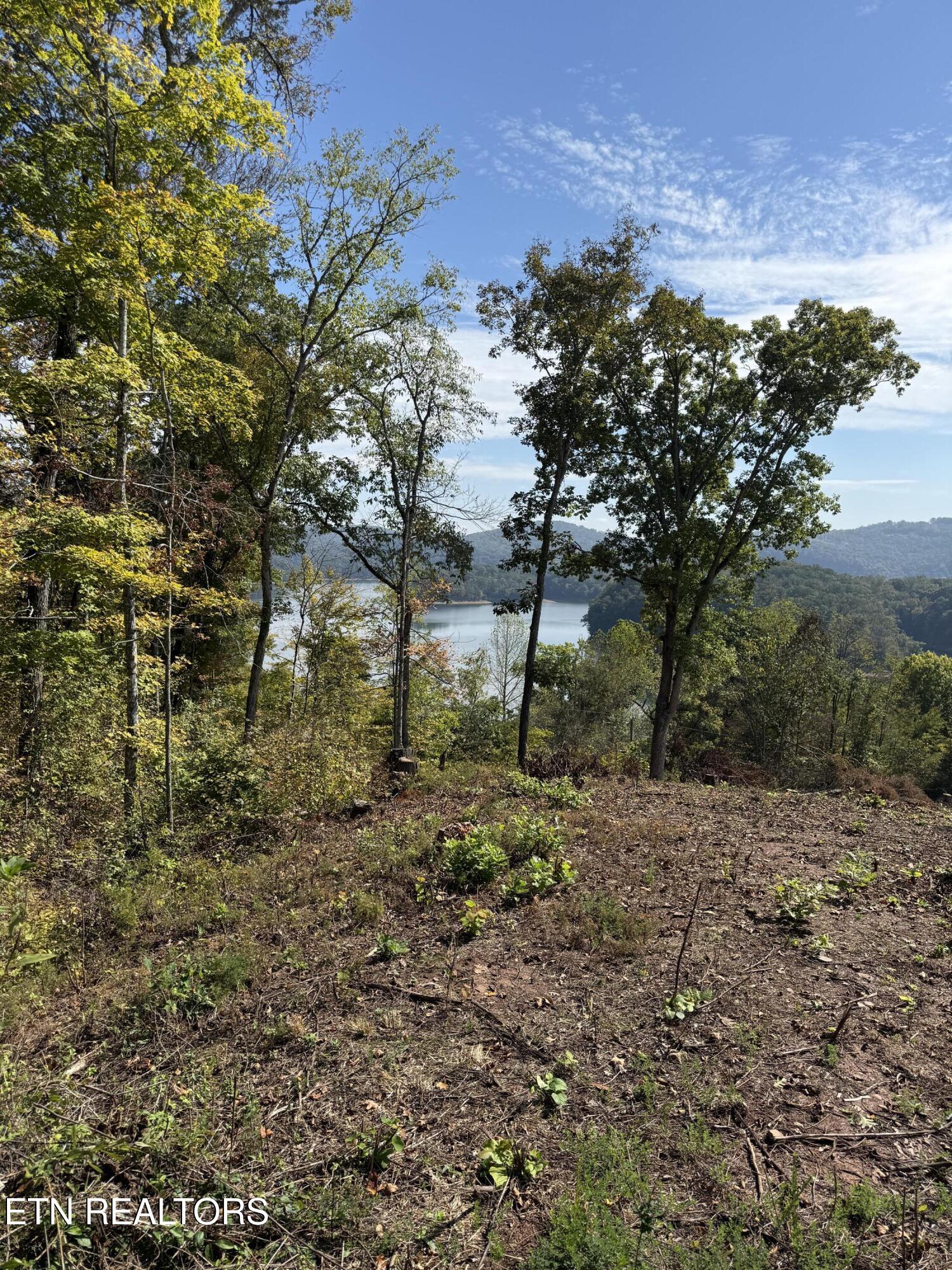 Lot 264 Lakeview Drive Sharps Chapel TN 37866