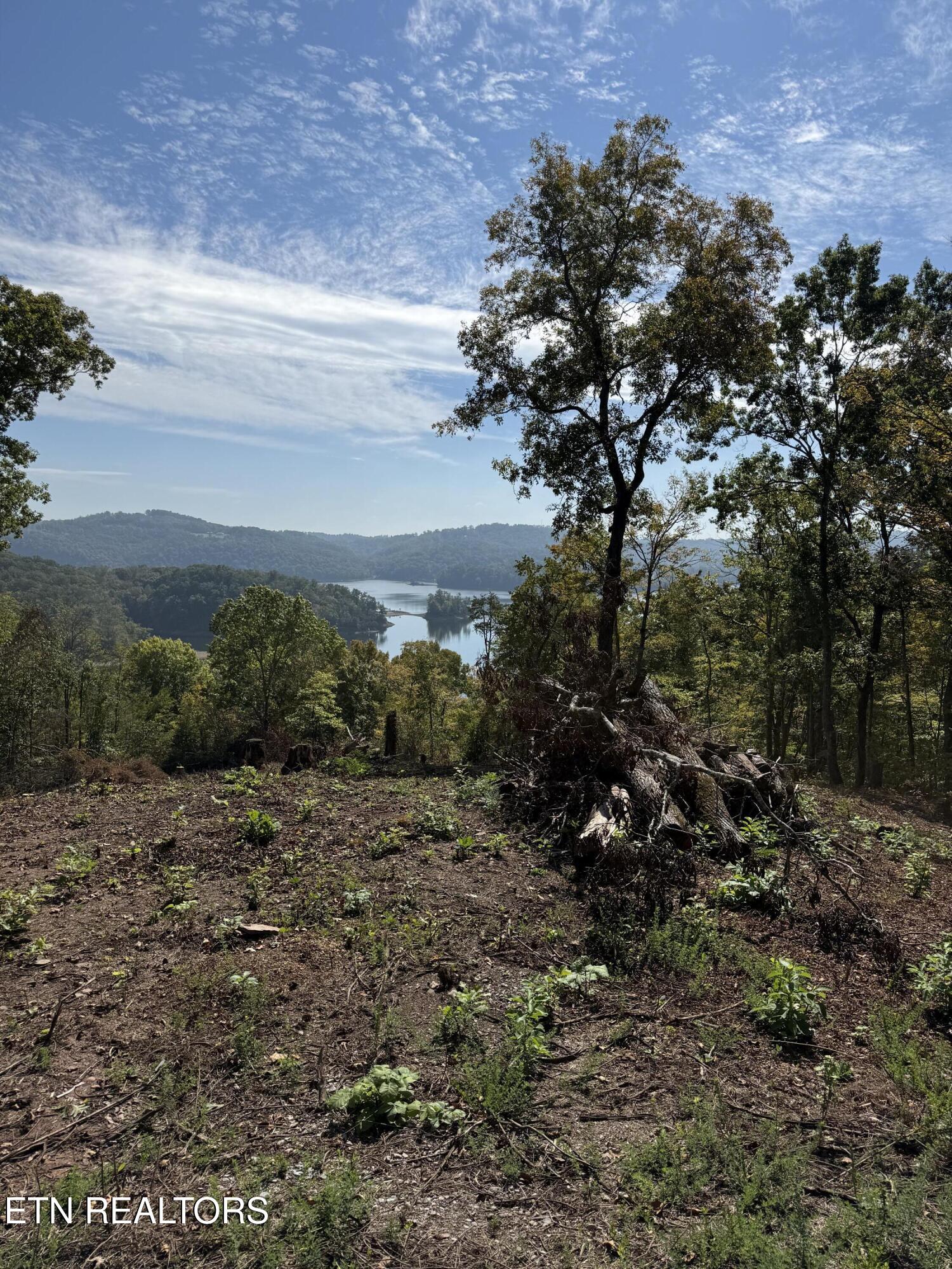 Lot 264 Lakeview Drive Sharps Chapel TN 37866