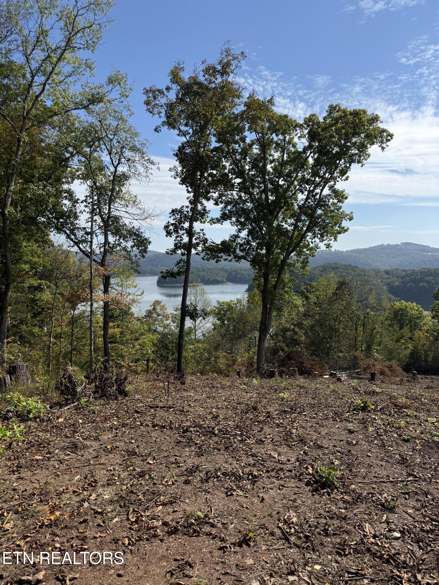 Lot 264 Lakeview Drive Sharps Chapel TN 37866