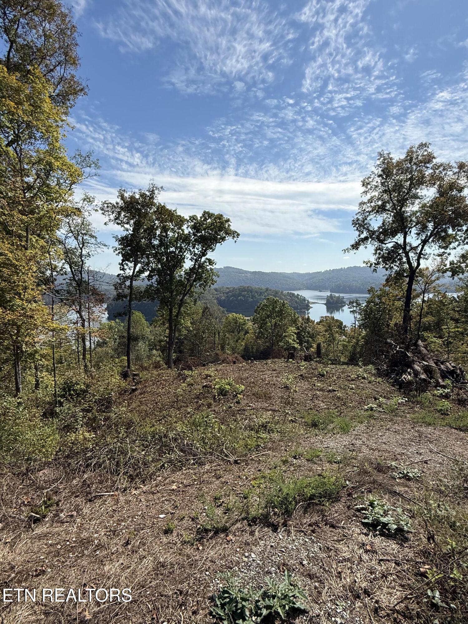 Lot 264 Lakeview Drive Sharps Chapel TN 37866