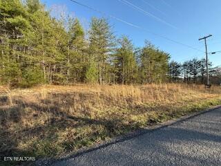 Bear Hollow Road Oneida TN 37841