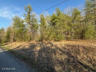 Bear Hollow Road Oneida TN 37841
