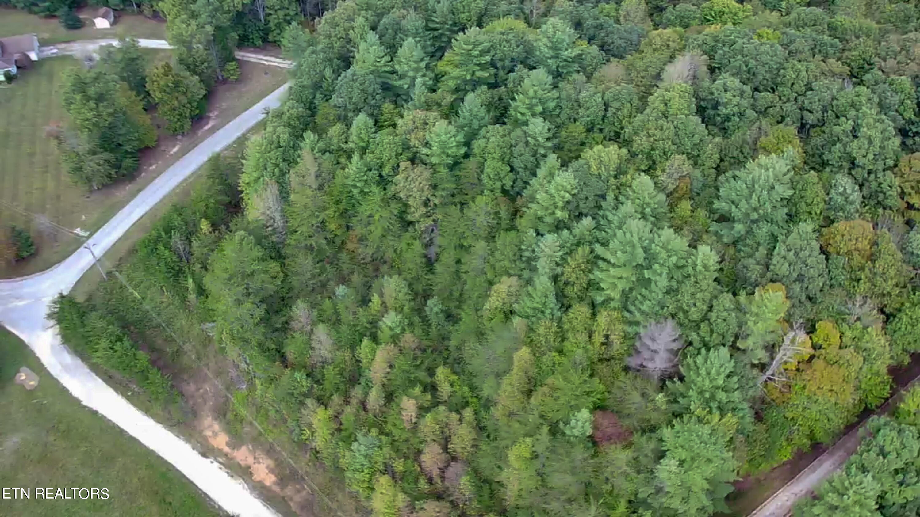 Bear Hollow Road Oneida TN 37841