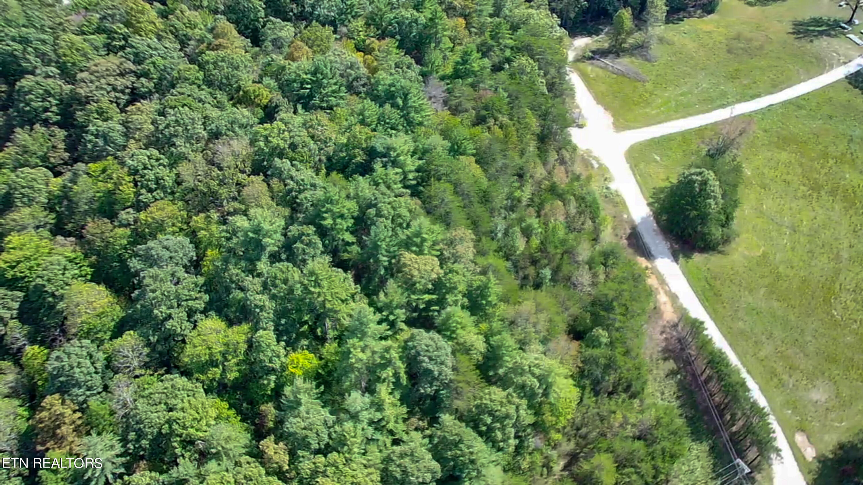 Bear Hollow Road Oneida TN 37841