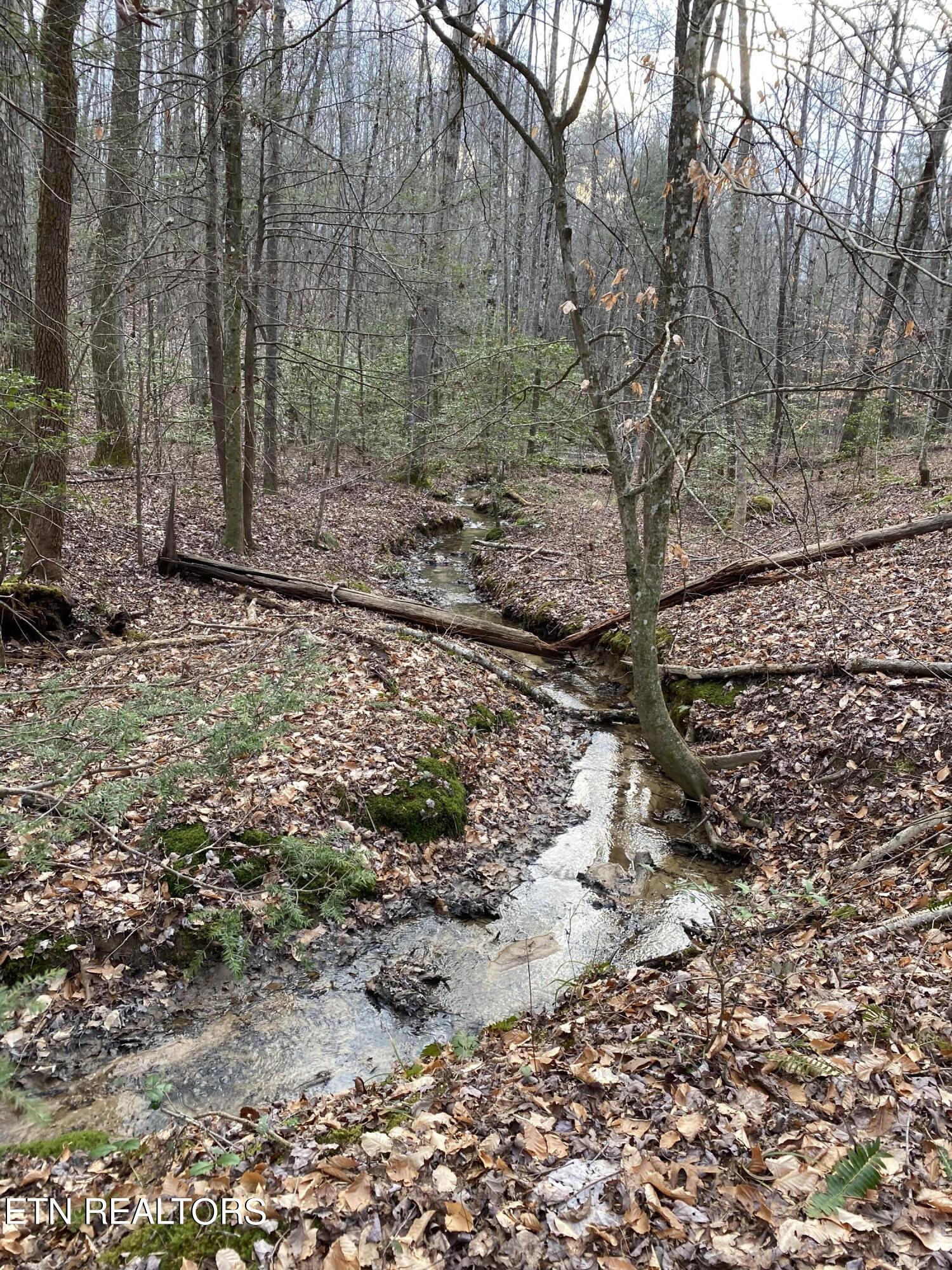 Bear Hollow Road Oneida TN 37841
