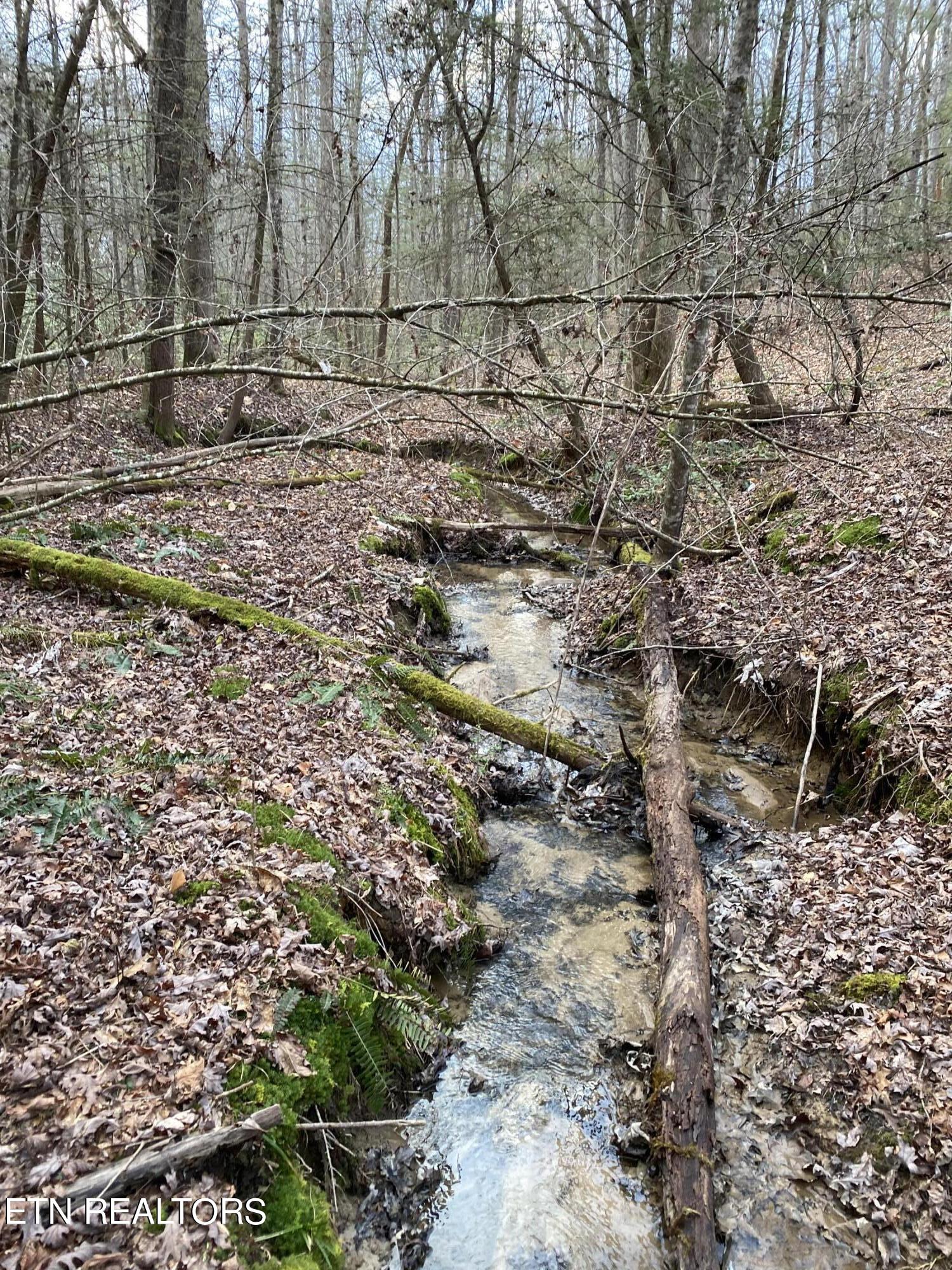 Bear Hollow Road Oneida TN 37841