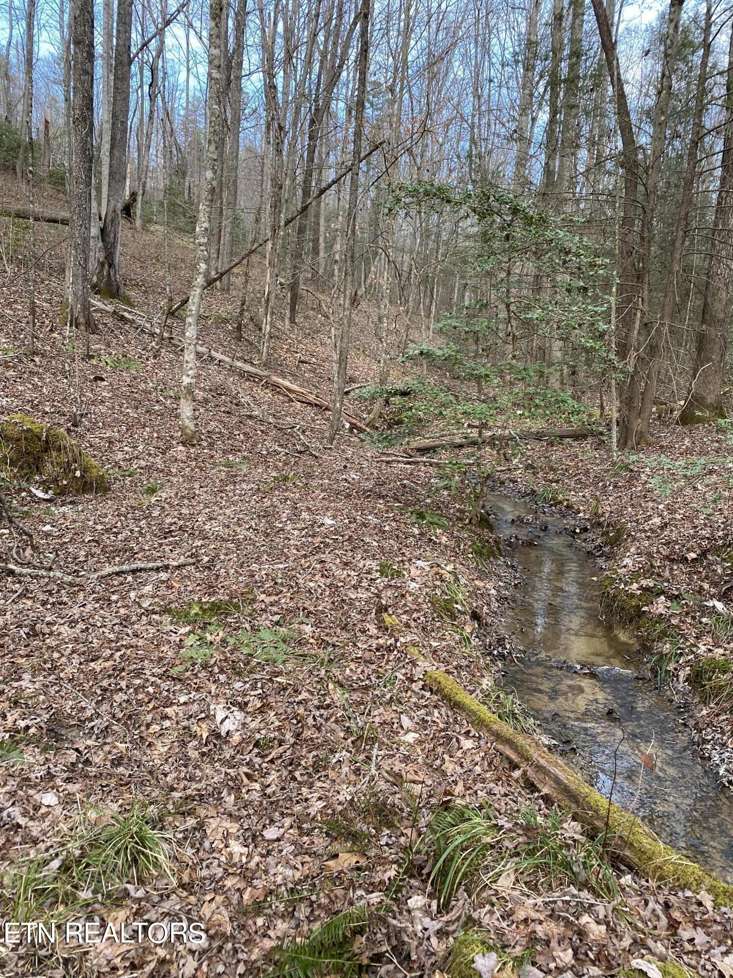 Bear Hollow Road Oneida TN 37841