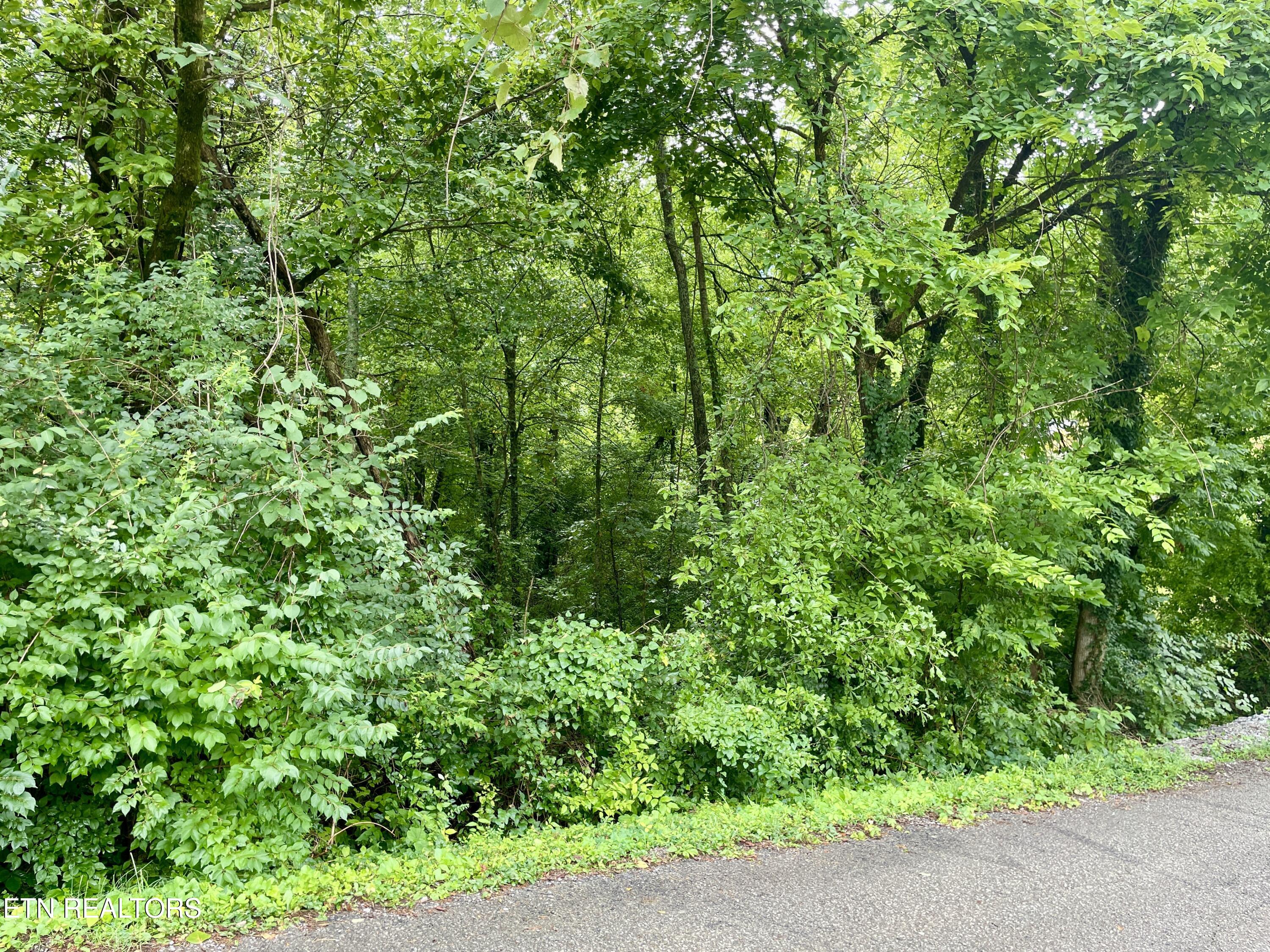 5119 Odell Road Knoxville TN 37920