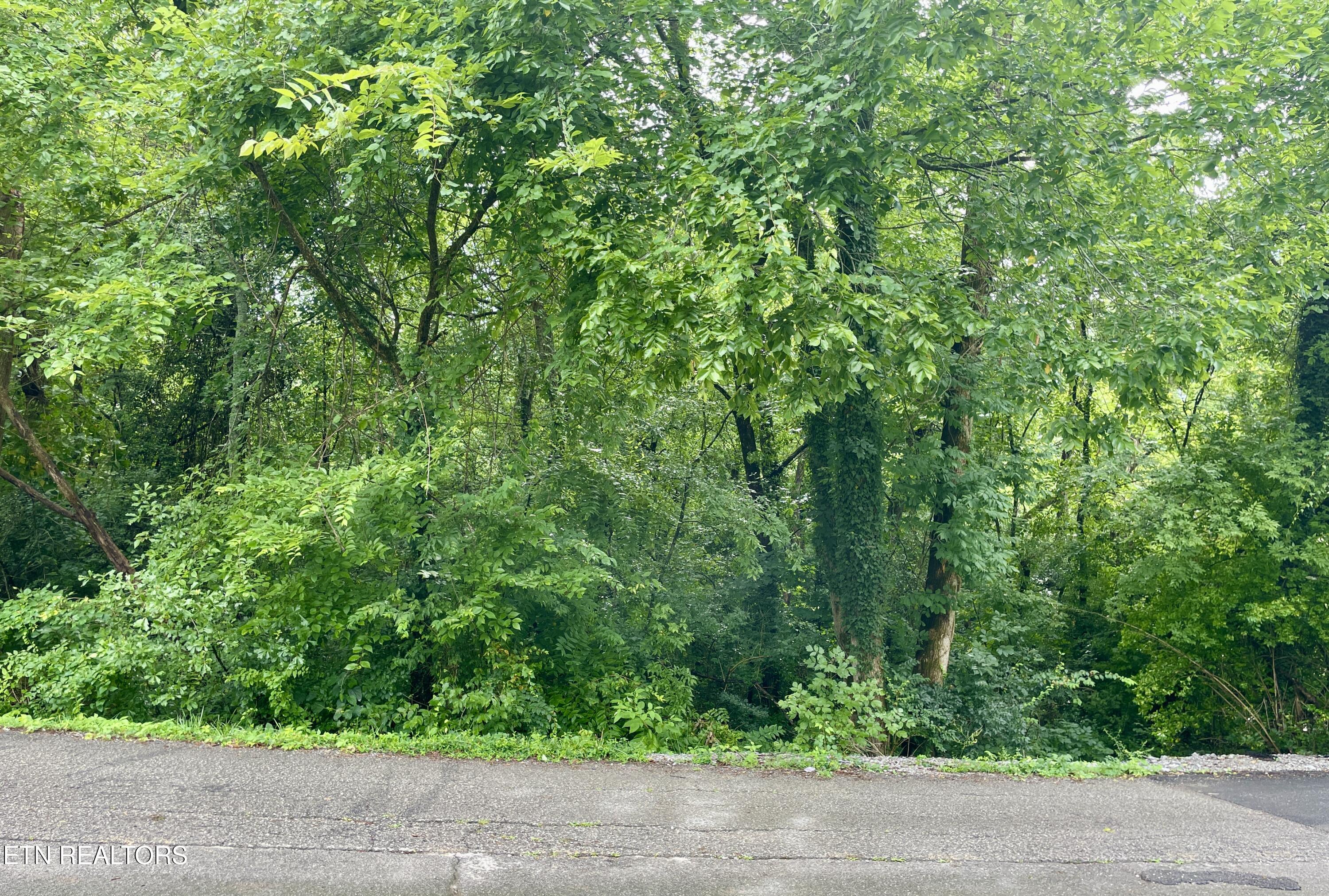 5119 Odell Road Knoxville TN 37920