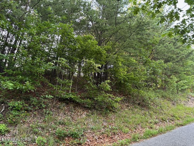 00 Top Road Sevierville TN 37876