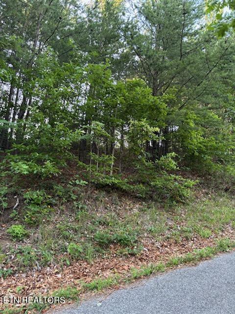 00 Top Road Sevierville TN 37876