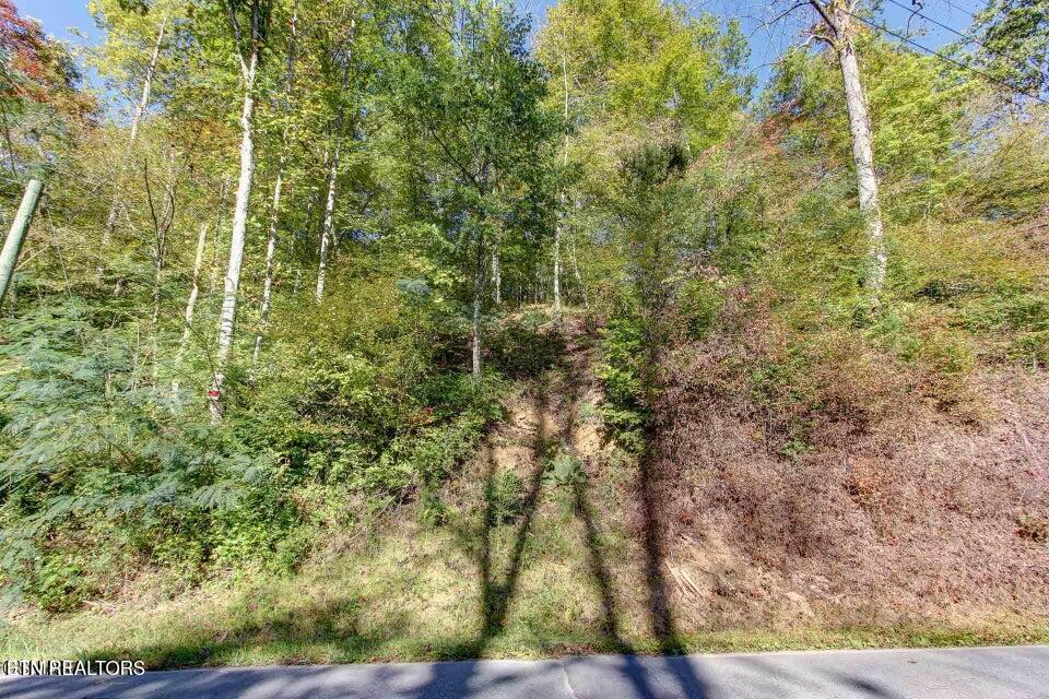 947 Powdermill Road Gatlinburg TN 37738