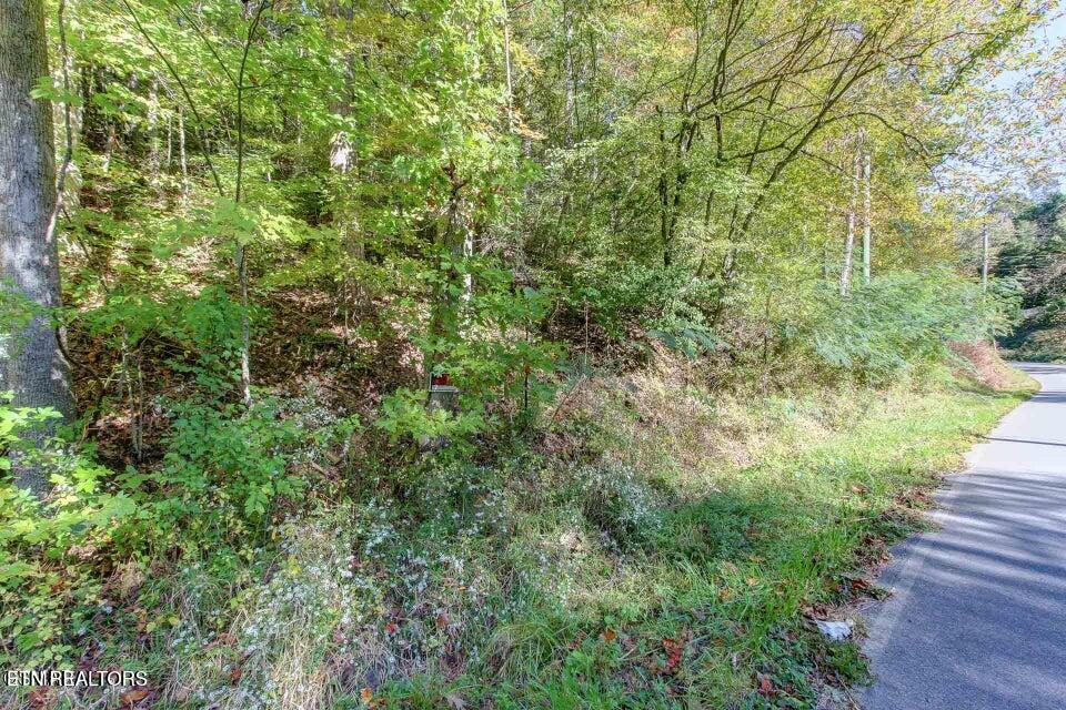 947 Powdermill Road Gatlinburg TN 37738