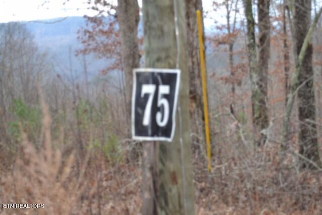Lot 75 Tomahawk Road Jamestown TN 38556