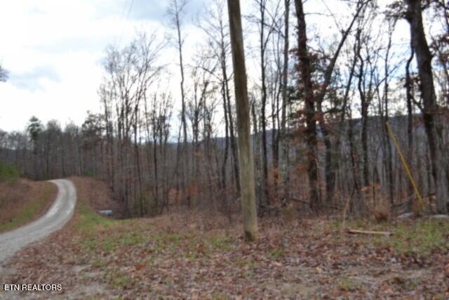 Lot 75 Tomahawk Road Jamestown TN 38556