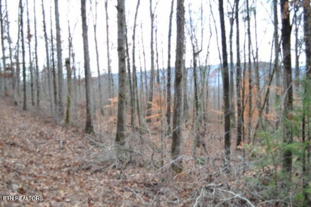 Lot 75 Tomahawk Road Jamestown TN 38556