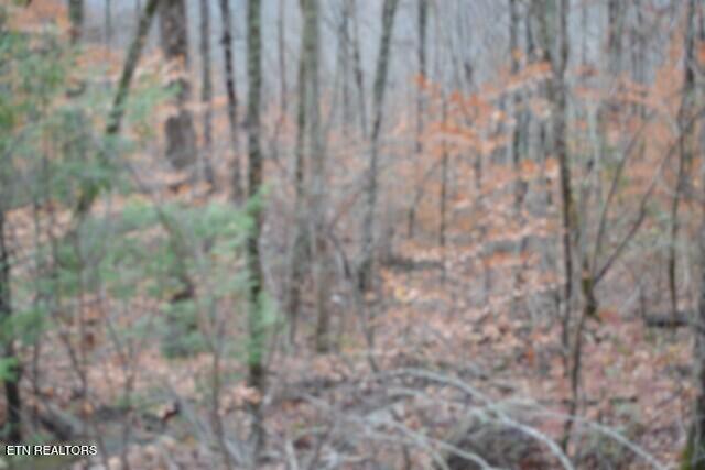 Lot 75 Tomahawk Road Jamestown TN 38556