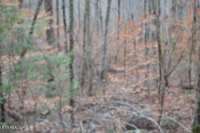 Lot 75 Tomahawk Road Jamestown TN 38556