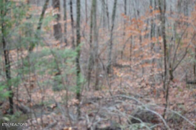 Lot 75 Tomahawk Road Jamestown TN 38556