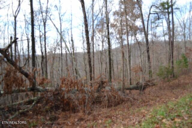 Lot 75 Tomahawk Road Jamestown TN 38556