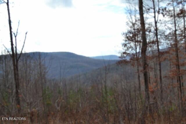 Lot 75 Tomahawk Road Jamestown TN 38556