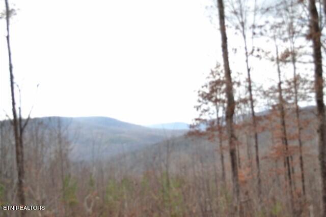 Lot 75 Tomahawk Road Jamestown TN 38556
