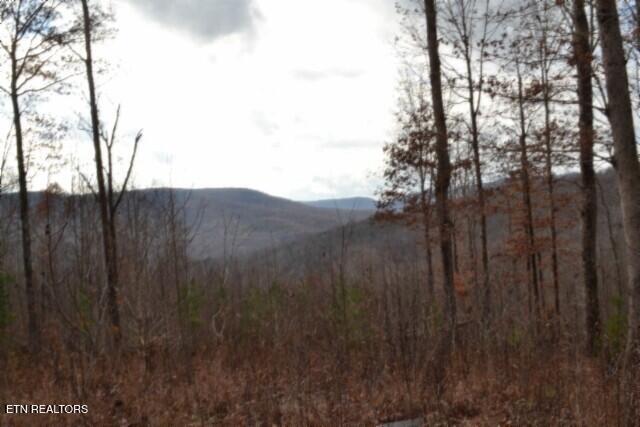 Lot 75 Tomahawk Road Jamestown TN 38556