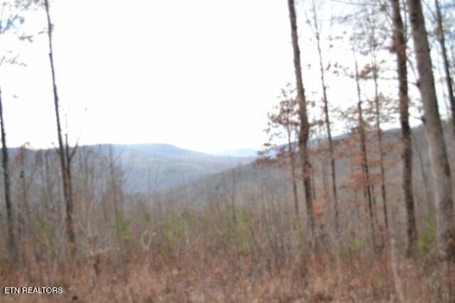 Lot 75 Tomahawk Road Jamestown TN 38556