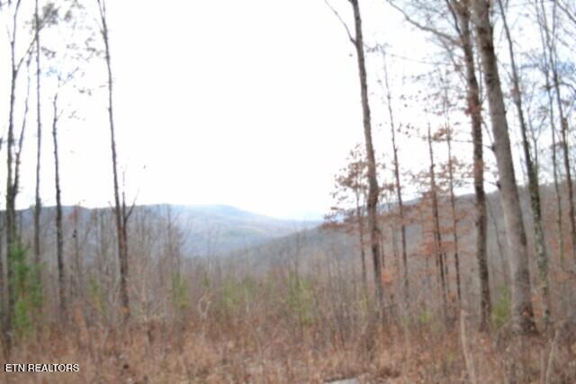 Lot 75 Tomahawk Road Jamestown TN 38556